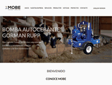 Tablet Screenshot of mobesa.com